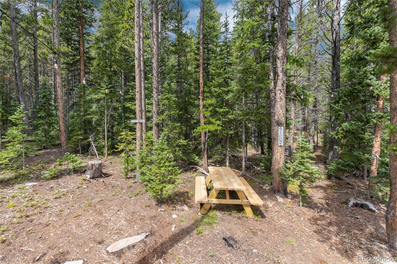 341 Upper Forest Road Idaho Springs, CO 80452 - Photo 36 of 36 Gallery Image 36
