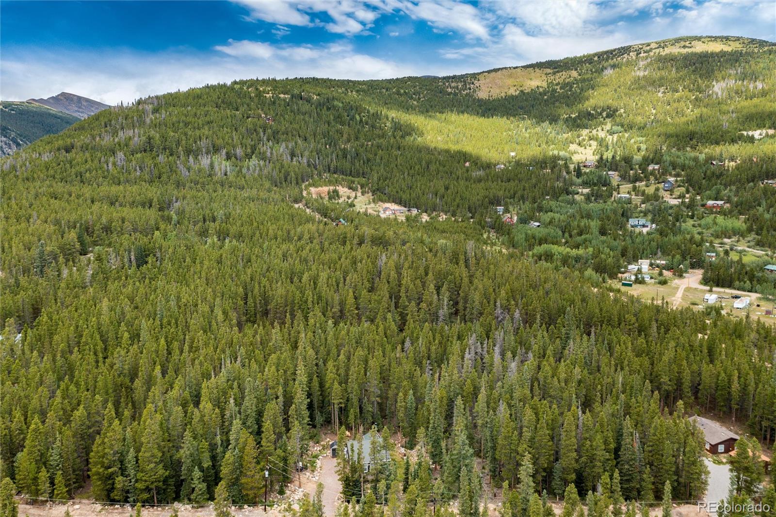341 Upper Forest Road Idaho Springs, CO 80452 - Photo 5 of 36 Gallery Image 5