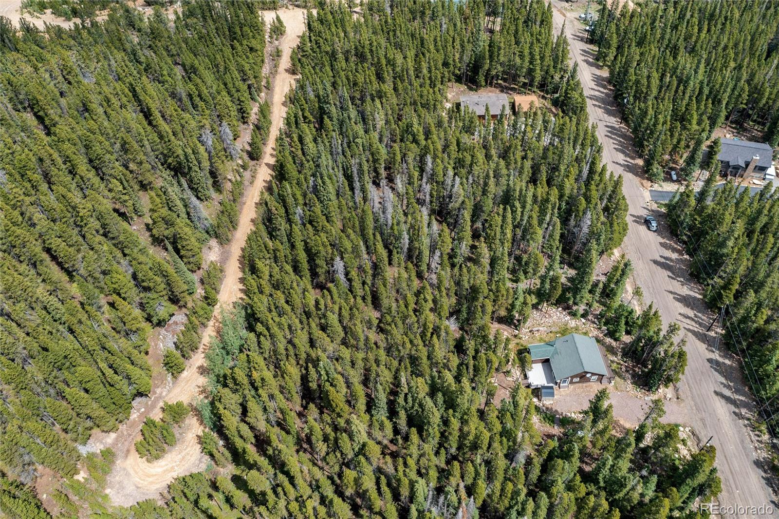 341 Upper Forest Road Idaho Springs, CO 80452 - Photo 7 of 36 Gallery Image 7