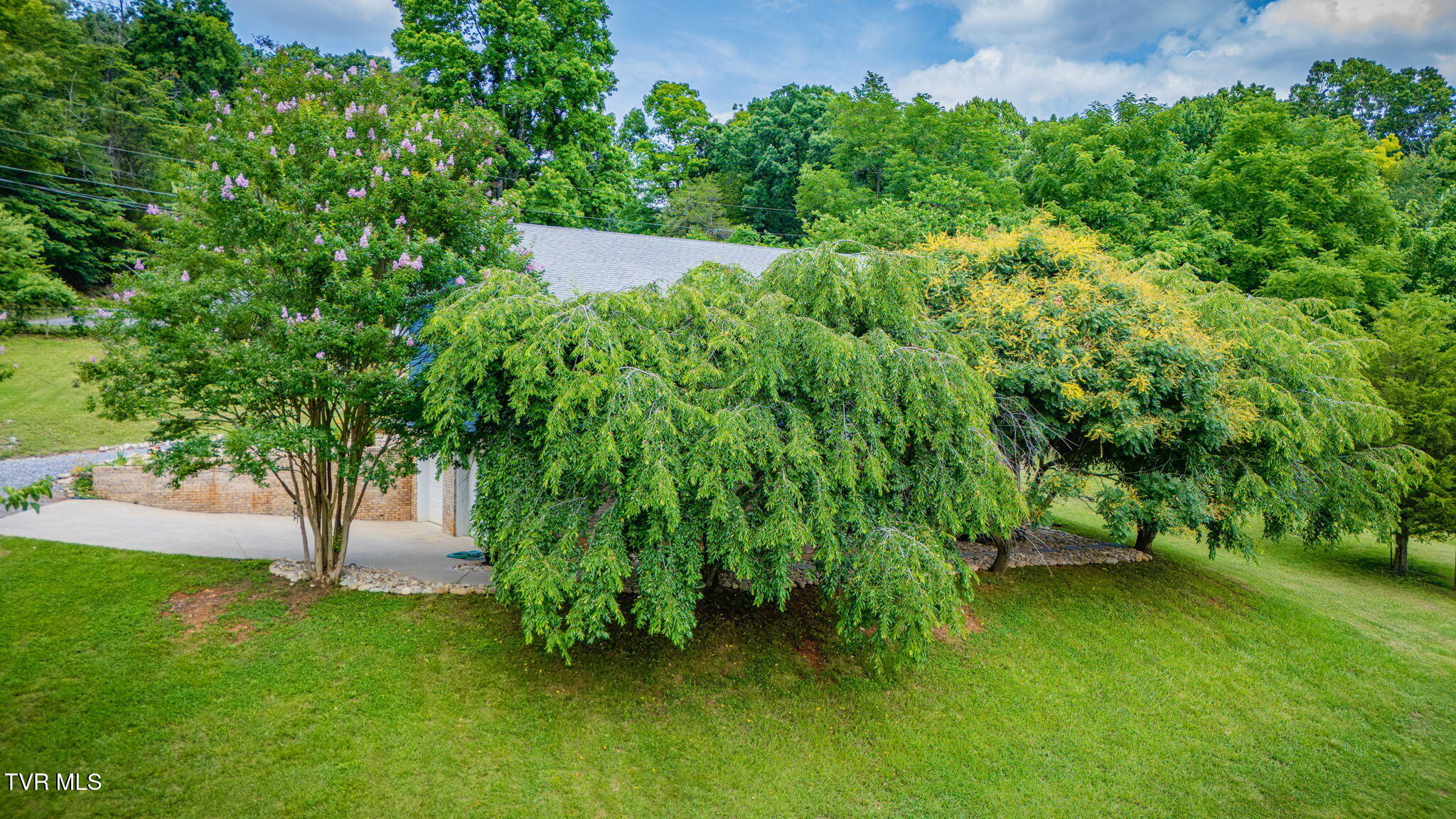 2937 Forest View Road Kingsport, TN 37660 - Photo 45 of 52 102