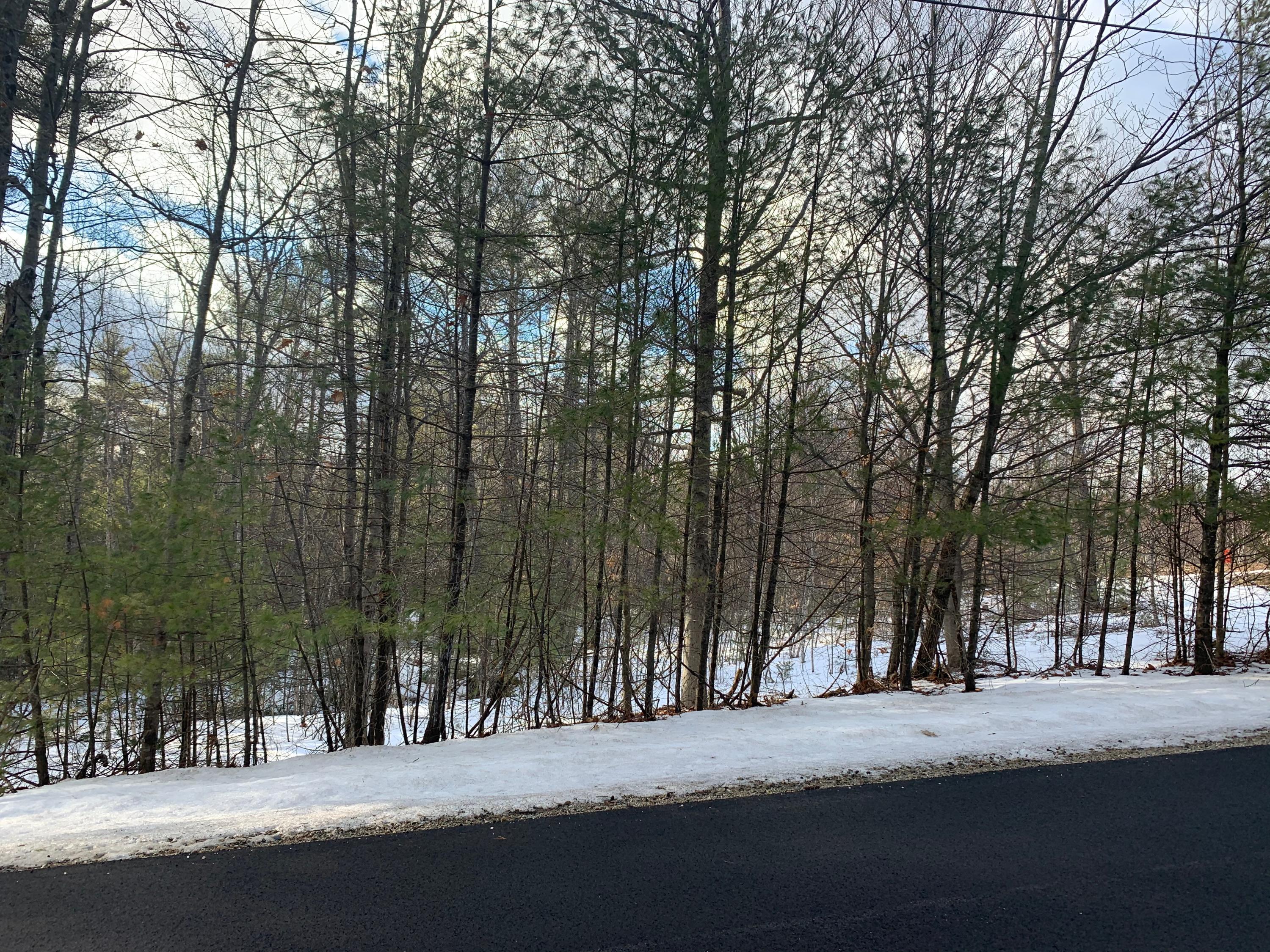 0 Boothby Road Limington, ME 04049 - Photo 3 of 4 IMG_3250