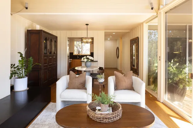 a living room with furniture and a potted plant
