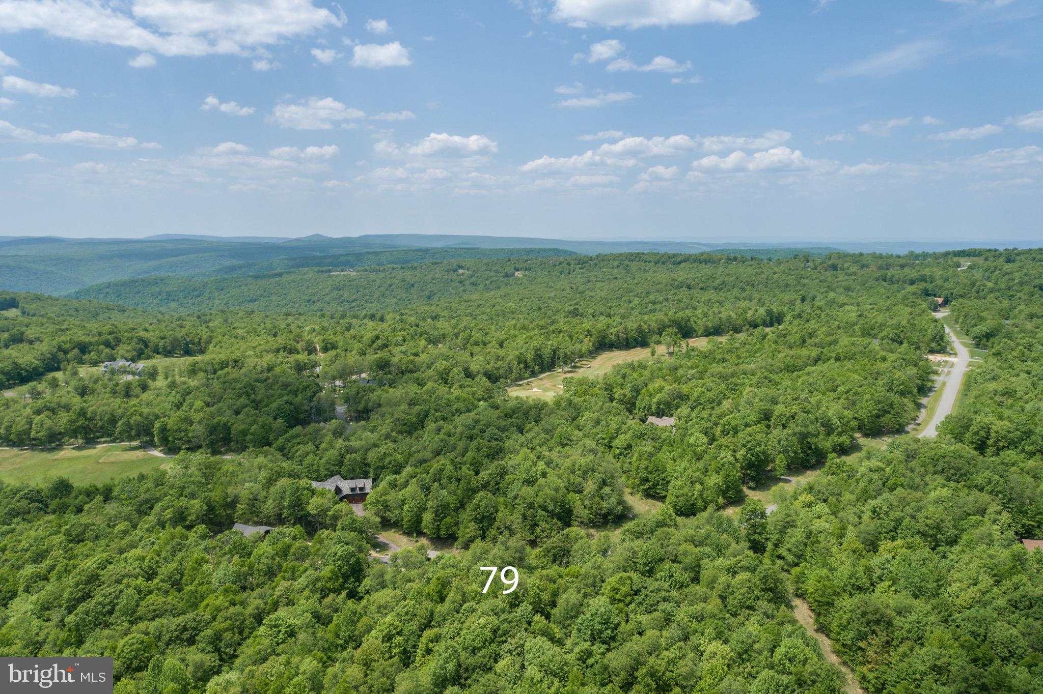 Lot 79 Sundance Way McHenry, MD 21541 - Photo 13 of 23 a view of a city with lush green forest