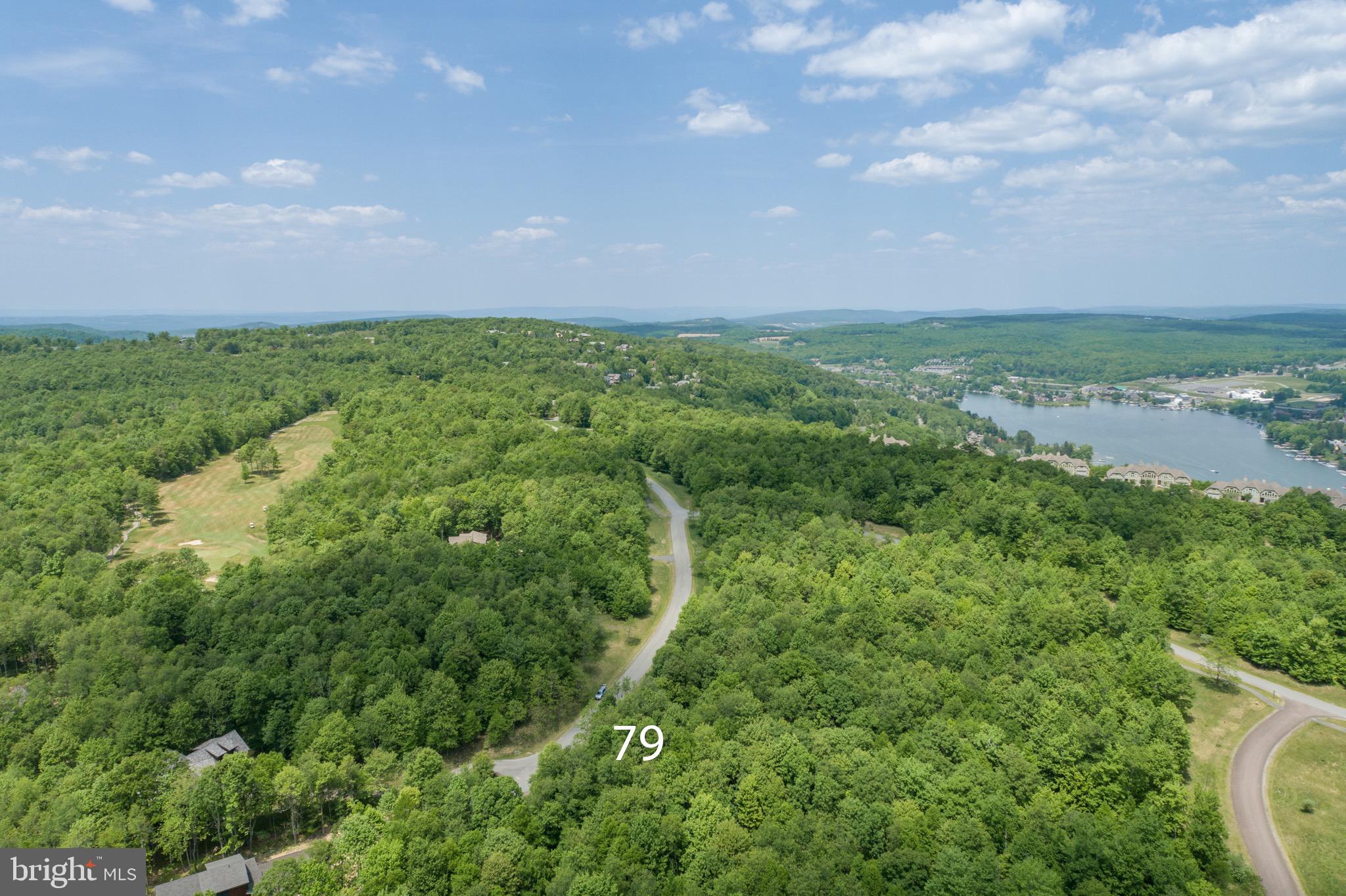 Lot 79 Sundance Way McHenry, MD 21541 - Photo 16 of 23 a view of a city with lush green forest