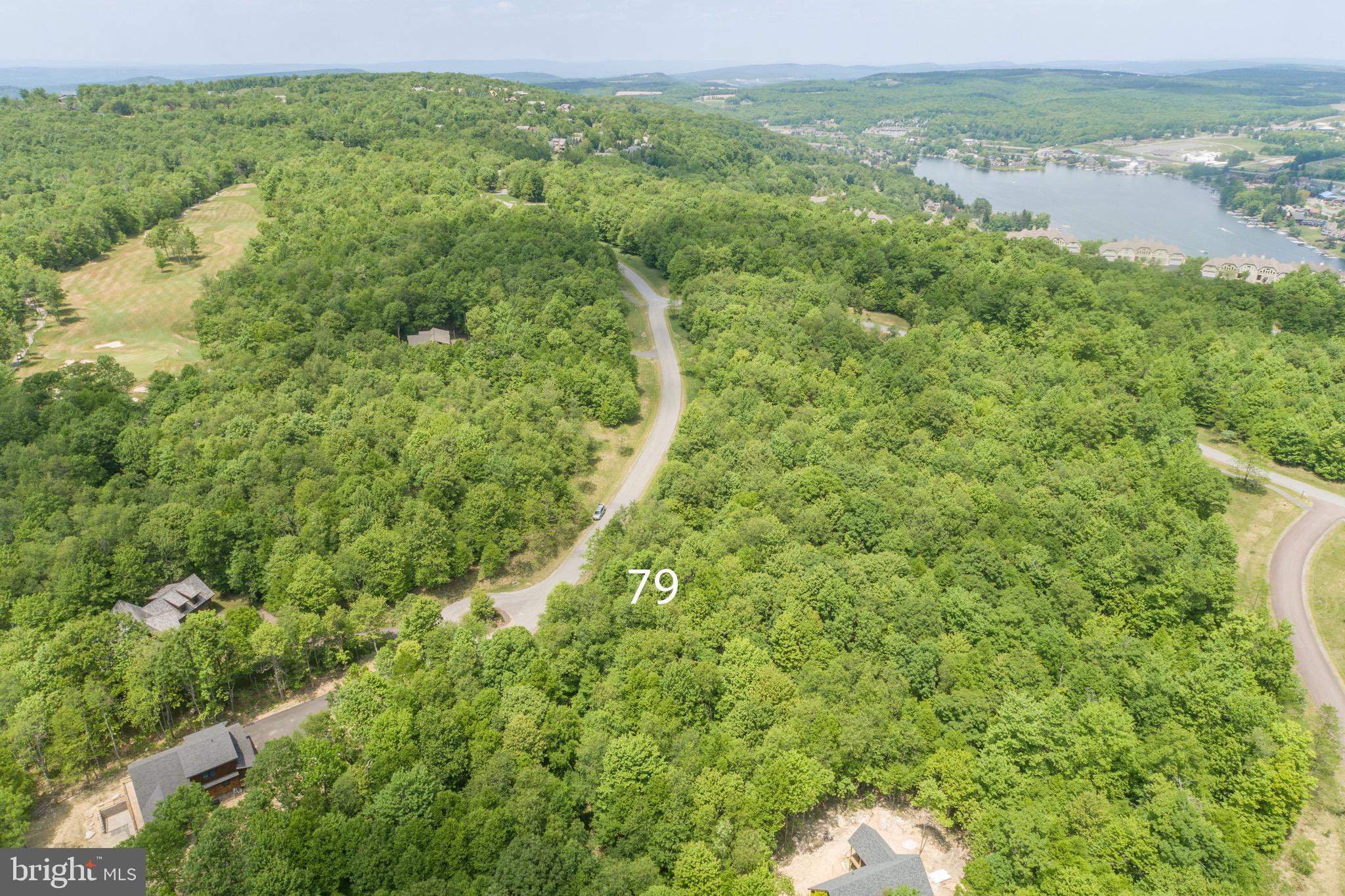 Lot 79 Sundance Way McHenry, MD 21541 - Photo 17 of 23 a view of a forest with a houses