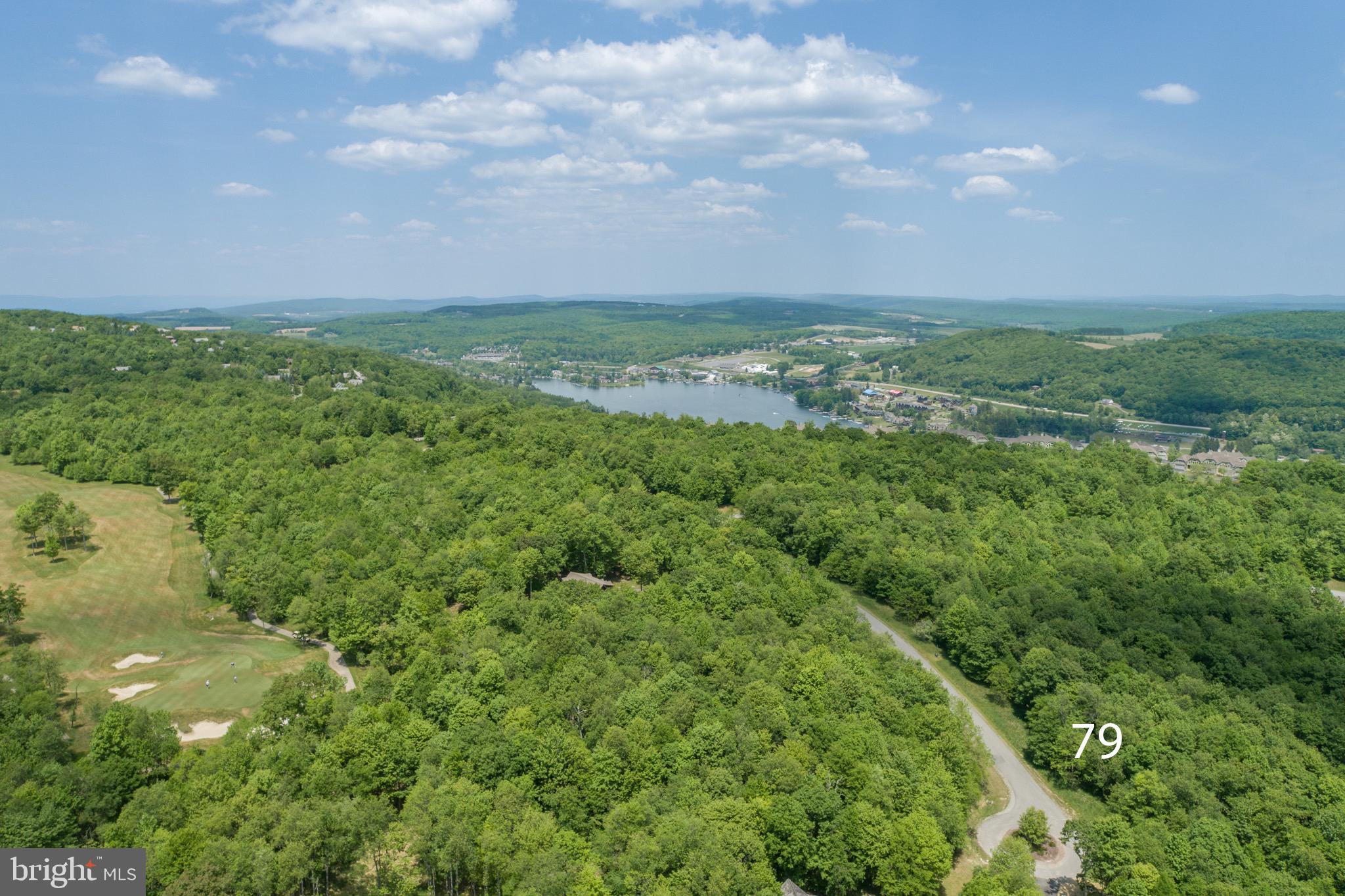 Lot 79 Sundance Way McHenry, MD 21541 - Photo 19 of 23 a view of a green field with lots of trees