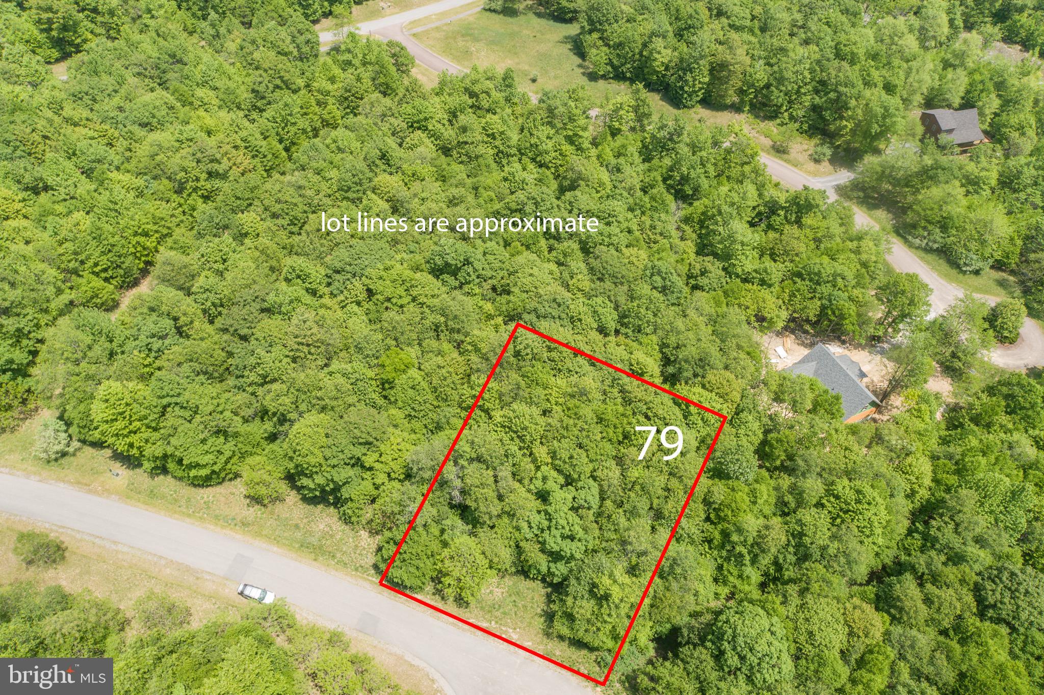 Lot 79 Sundance Way McHenry, MD 21541 - Photo 5 of 23 a view of a yard with plants