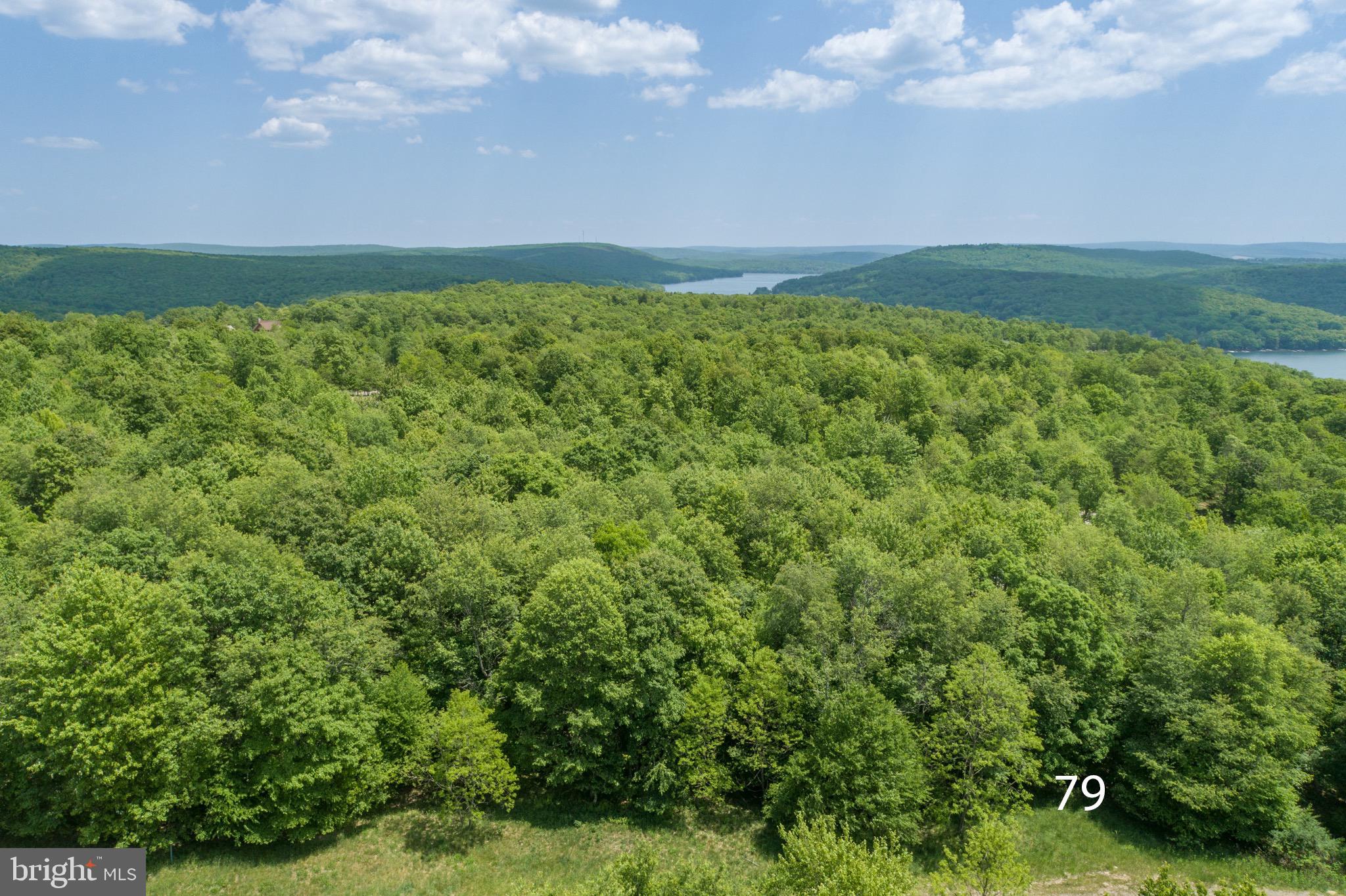 Lot 79 Sundance Way McHenry, MD 21541 - Photo 6 of 23 a view of a green field with lots of bushes