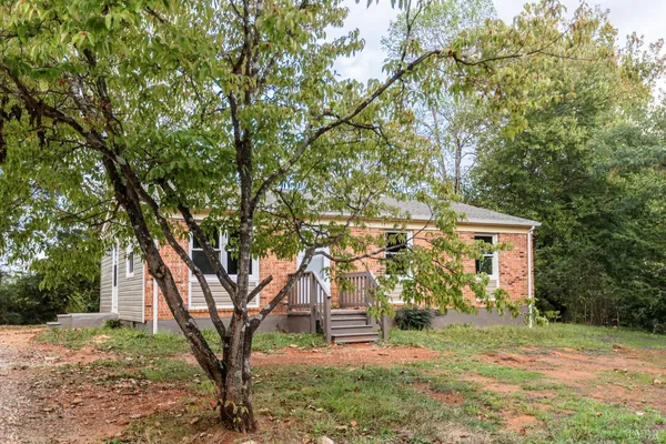 a view of backyard of house