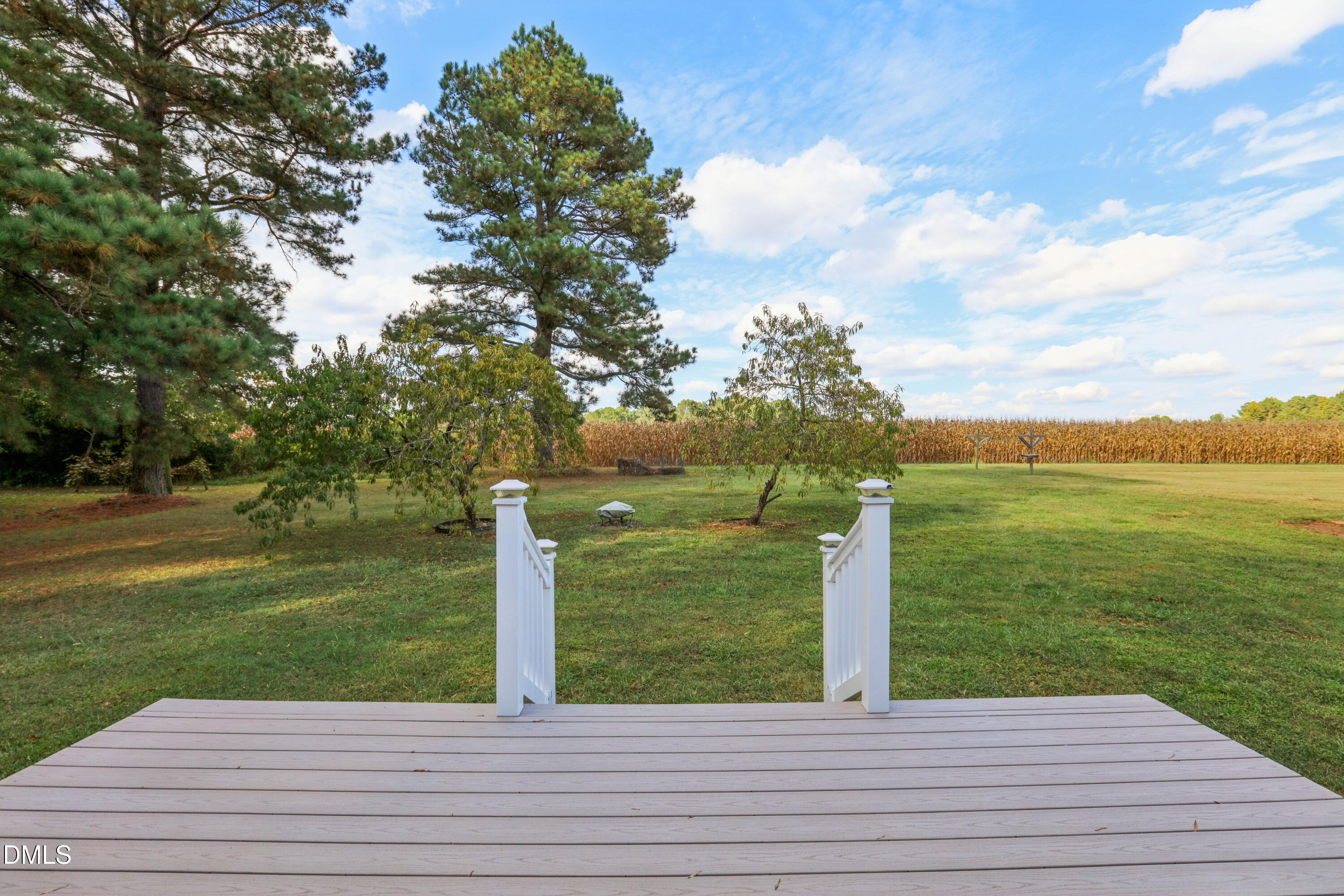 613 3rd Street Spring Hope, NC 27882 - Photo 19 of 32 19-print-3rd St-S2709-019