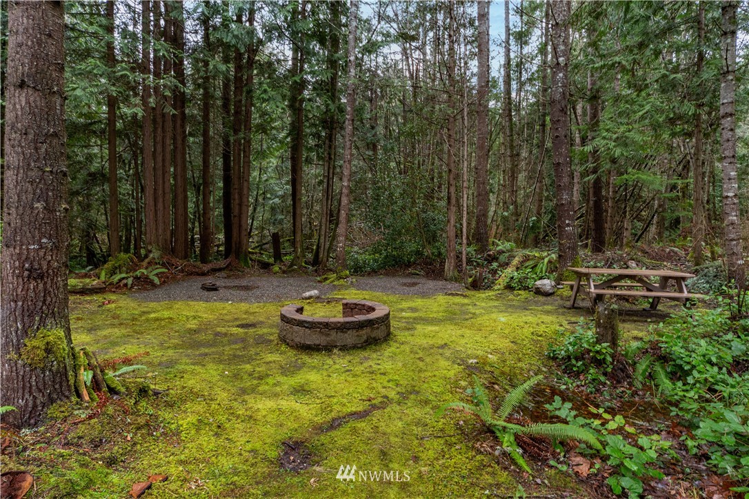 62 Chase Road Port Townsend, WA 98368 - Photo 32 of 40 Gallery Image 32