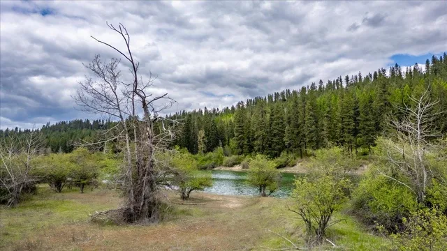 $119,000 | None None Leclerc, Newport, WA 99156