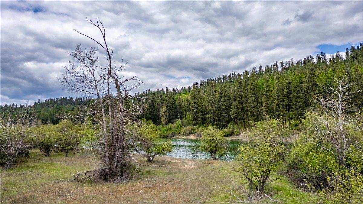 None None Leclerc Newport, WA 99156 - Photo 24 of 44