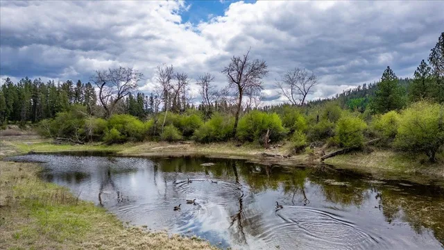 $119,000 | None None Leclerc, Newport, WA 99156