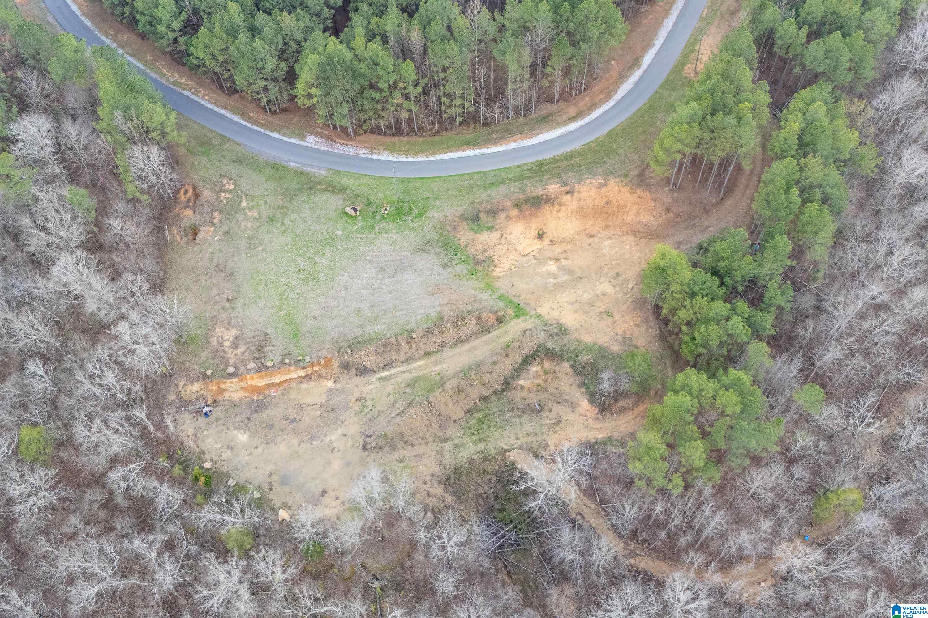 1321 Red Oak Road Helena, AL 35080 - Photo 2 of 12