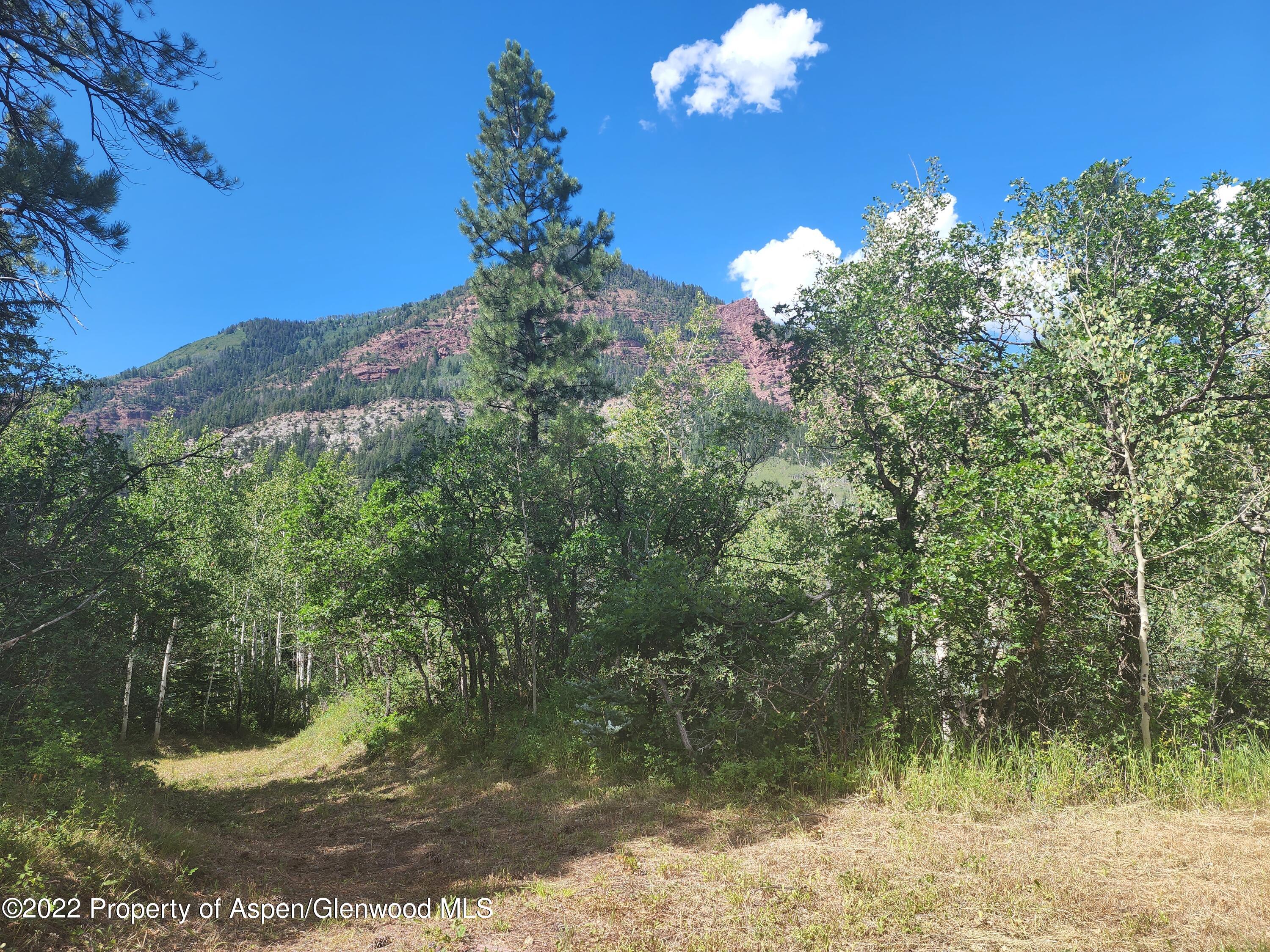 315 Firehouse Road Redstone, CO 81623 - Photo 2 of 9 20220812_115115