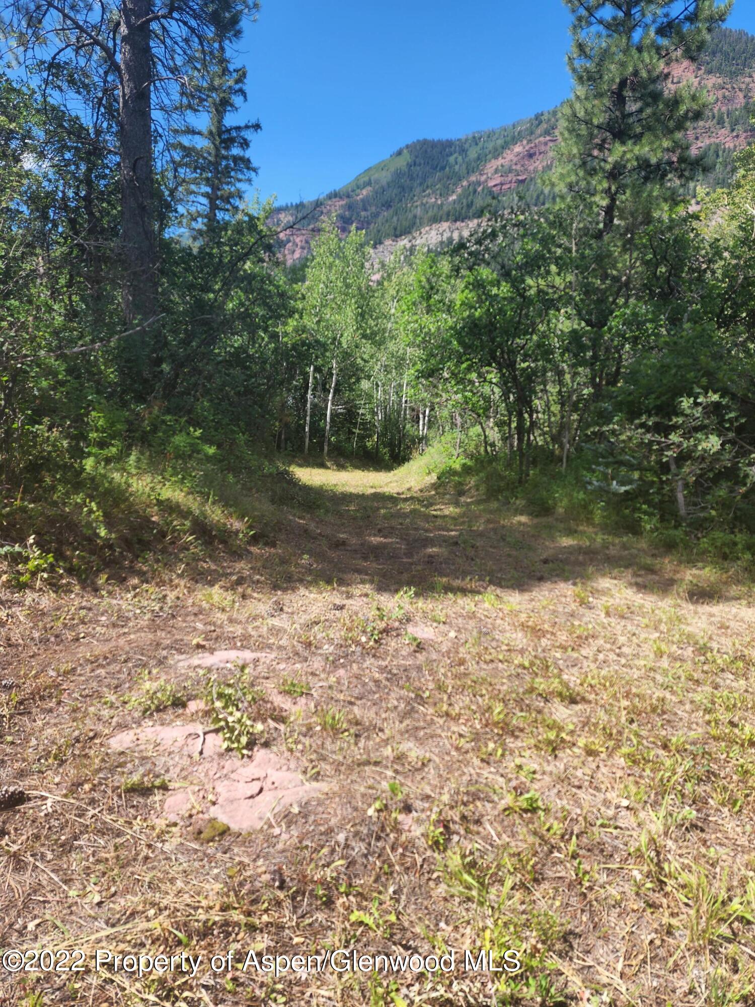 315 Firehouse Road Redstone, CO 81623 - Photo 3 of 9 20220812_114938