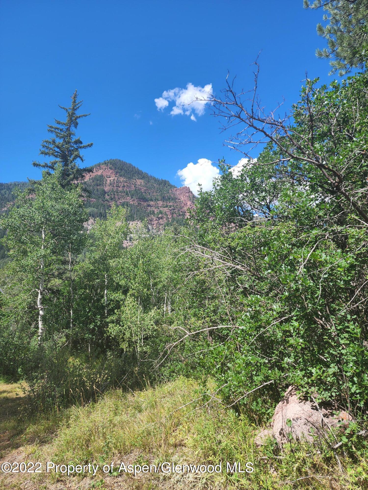 315 Firehouse Road Redstone, CO 81623 - Photo 6 of 9 20220812_115202