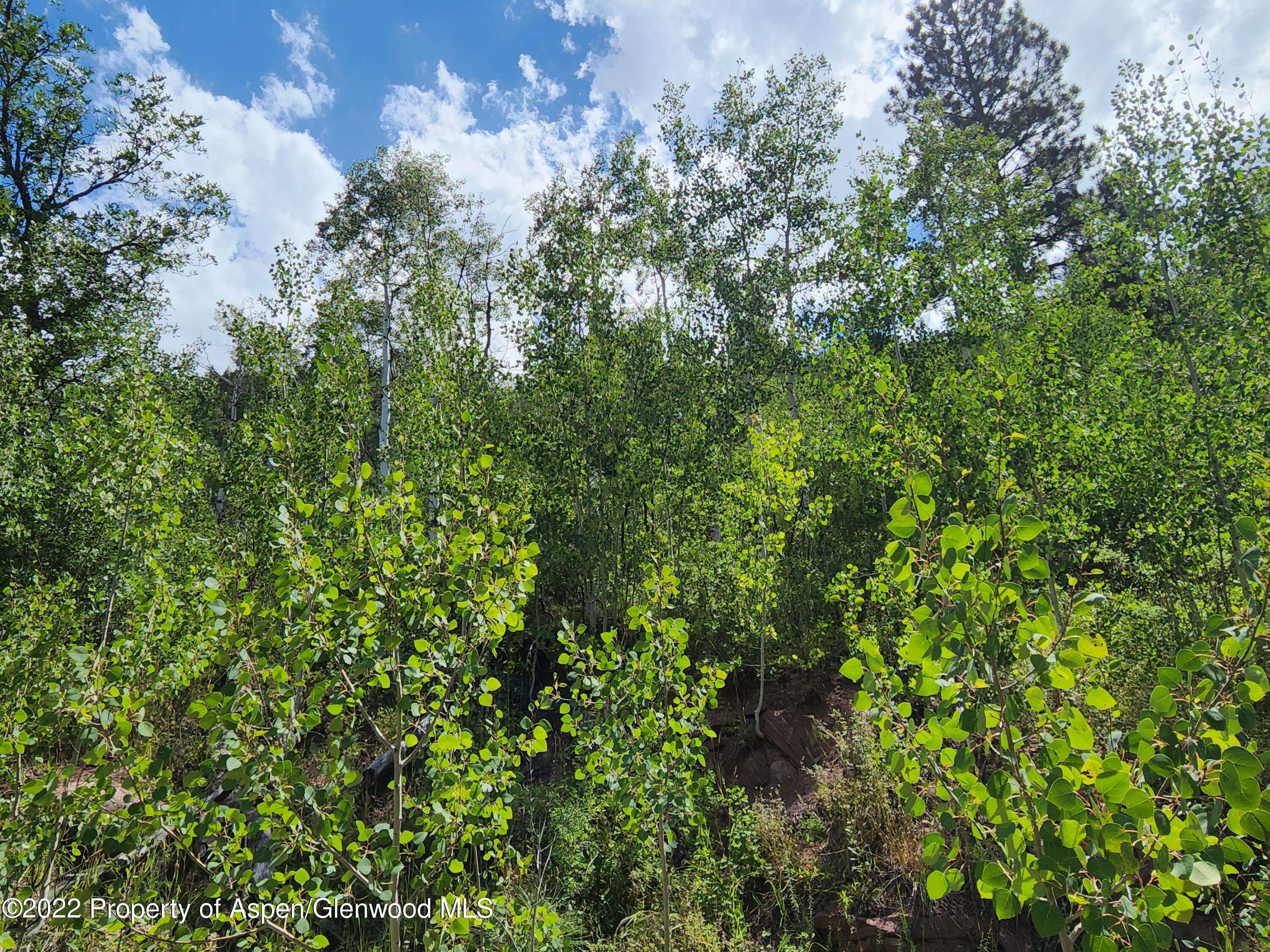 315 Firehouse Road Redstone, CO 81623 - Photo 9 of 9 20220812_115544