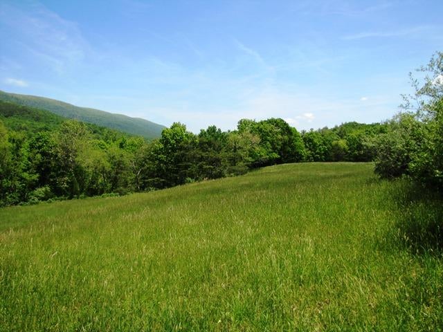 329 Trout Run Road Waiteville, WV 24984 - Photo 9 of 91 Gallery Image 9