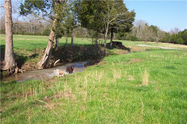 2452 Bob Cheek Road Lewisburg, TN 37091 - Photo 16 of 20 CREEK RUNNING THROUGH THE PROPERTY