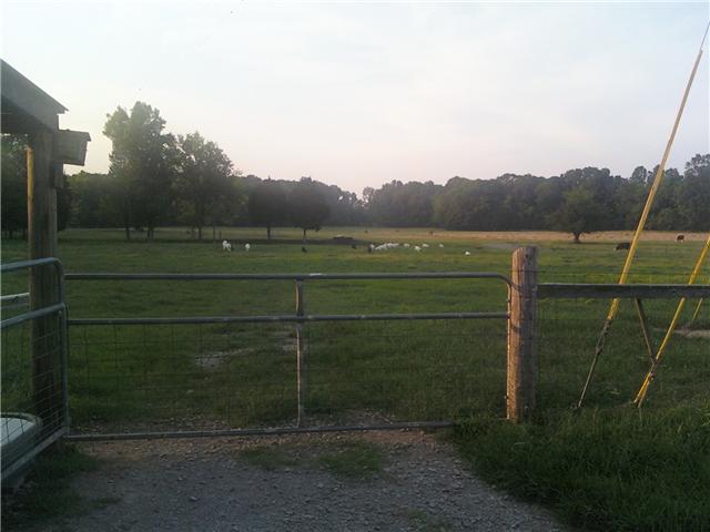 2452 Bob Cheek Road Lewisburg, TN 37091 - Photo 20 of 20 GATE LEADING INTO PASTURE AND WOODED AREA