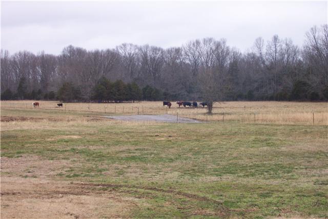 2452 Bob Cheek Road Lewisburg, TN 37091 - Photo 3 of 20 OPEN PASTURE LAND