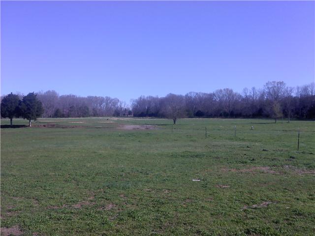 2452 Bob Cheek Road Lewisburg, TN 37091 - Photo 7 of 20 30 ACRES OF OPEN PASTURE