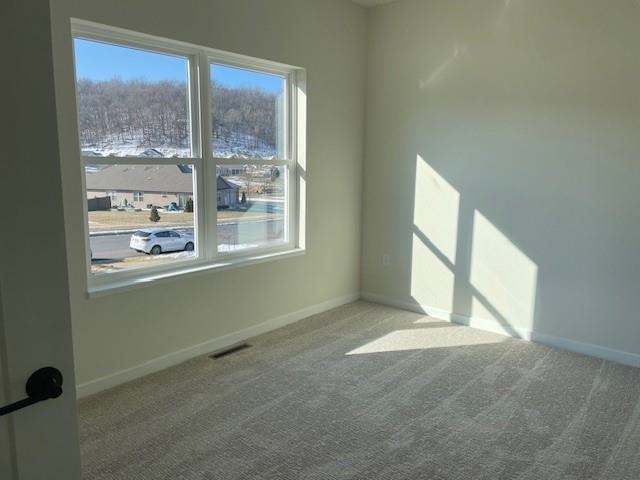 3016 Handel Street Black Earth, WI 53515 - Photo 15 of 27