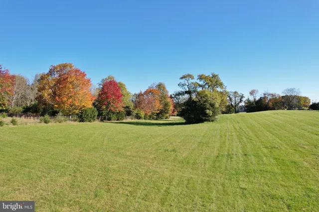 a view of backyard with small cabin