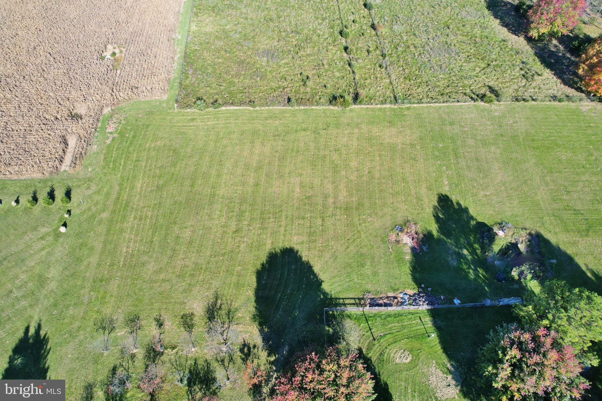 8289 Back Road Maurertown, VA 22644 - Photo 16 of 59 Open Acreage