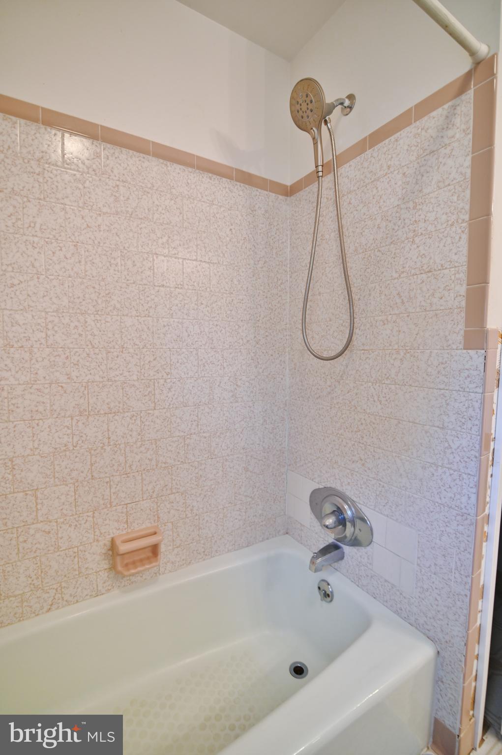 8289 Back Road Maurertown, VA 22644 - Photo 45 of 59 a bathroom with a bath tub with a shower