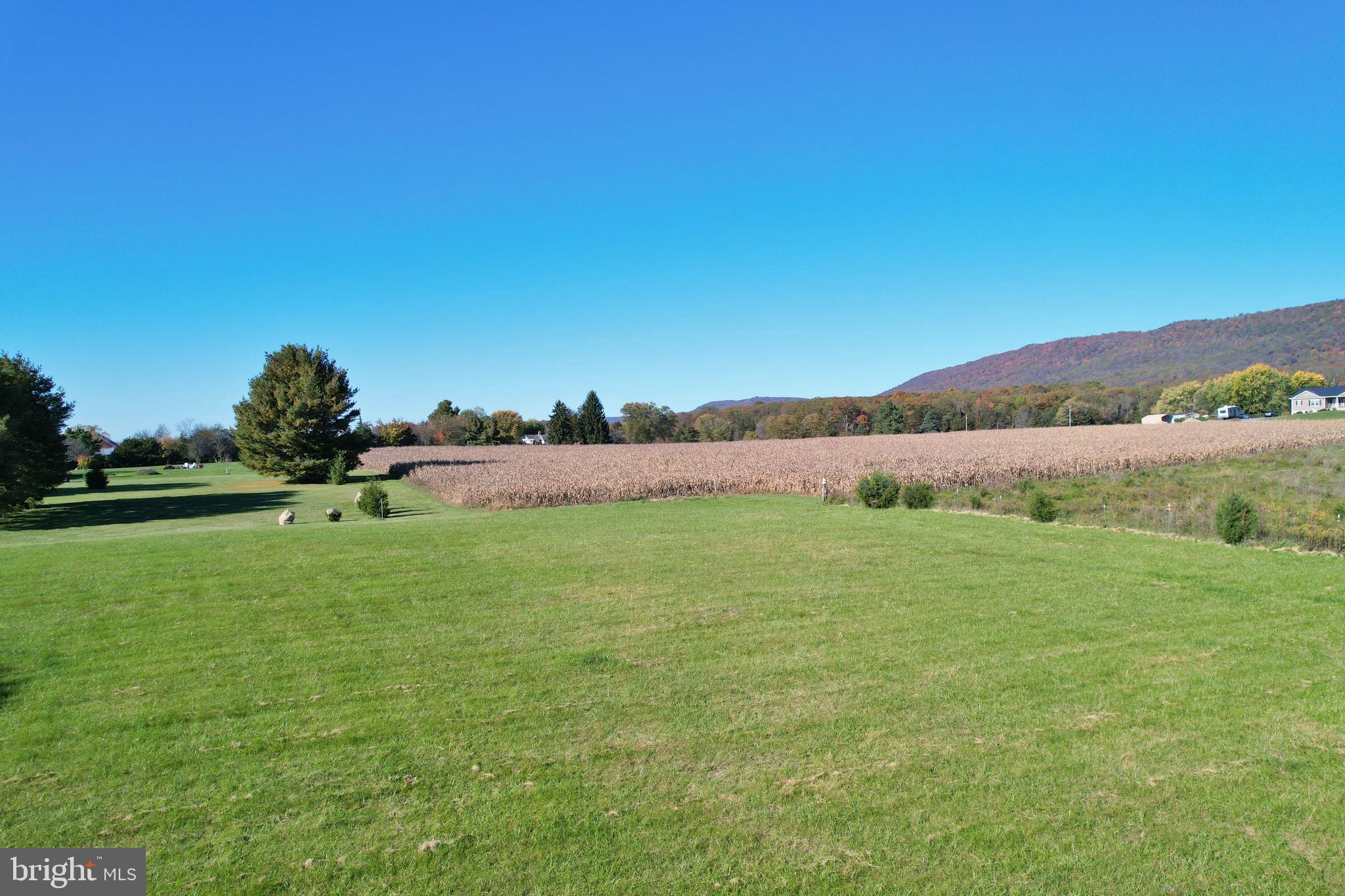 8289 Back Road Maurertown, VA 22644 - Photo 10 of 59 a view of grassy field with mountain in the background
