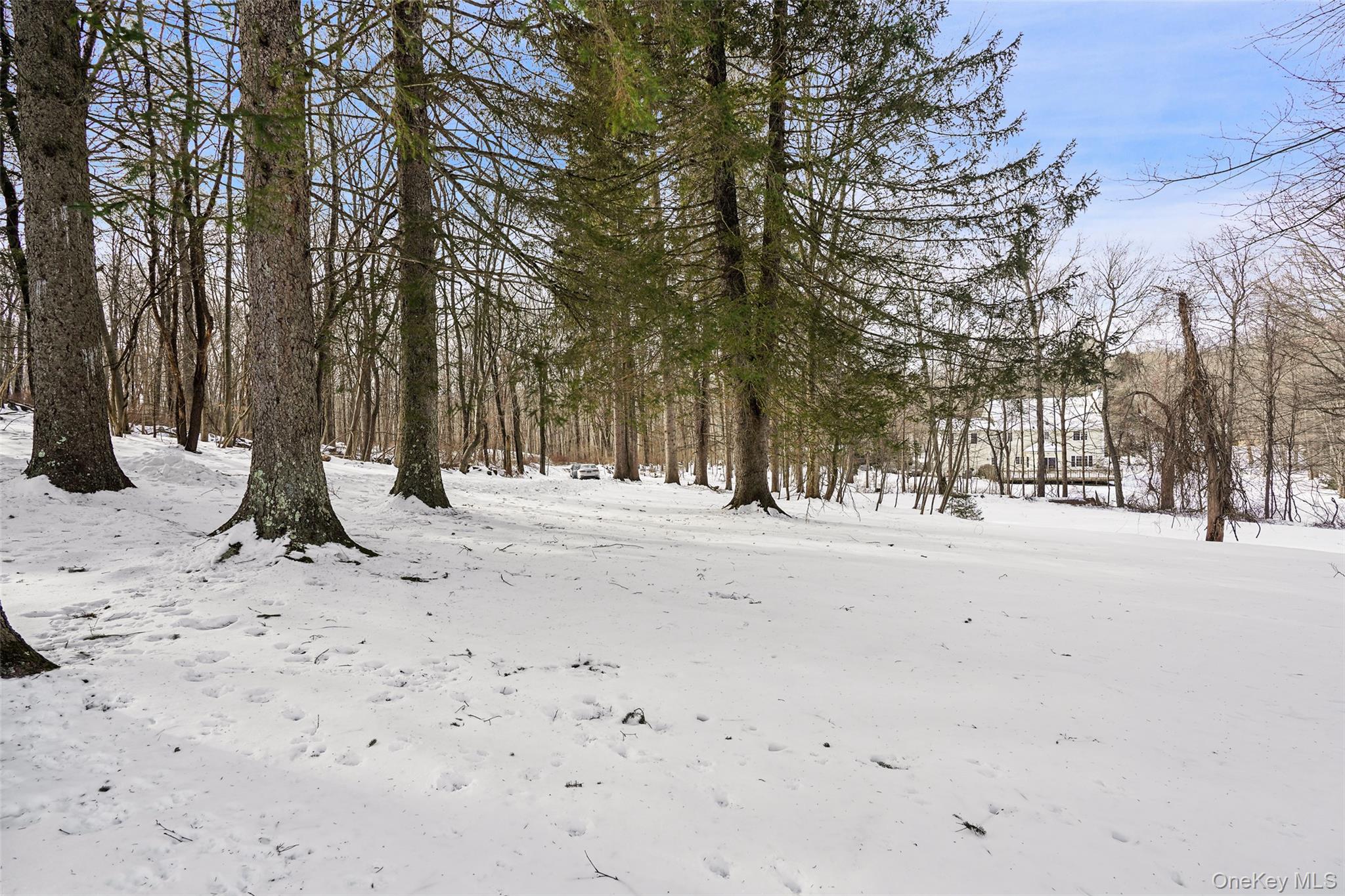 22 Raspberry Lane Carmel, NY 10512 - Photo 19 of 23 a view of road with trees