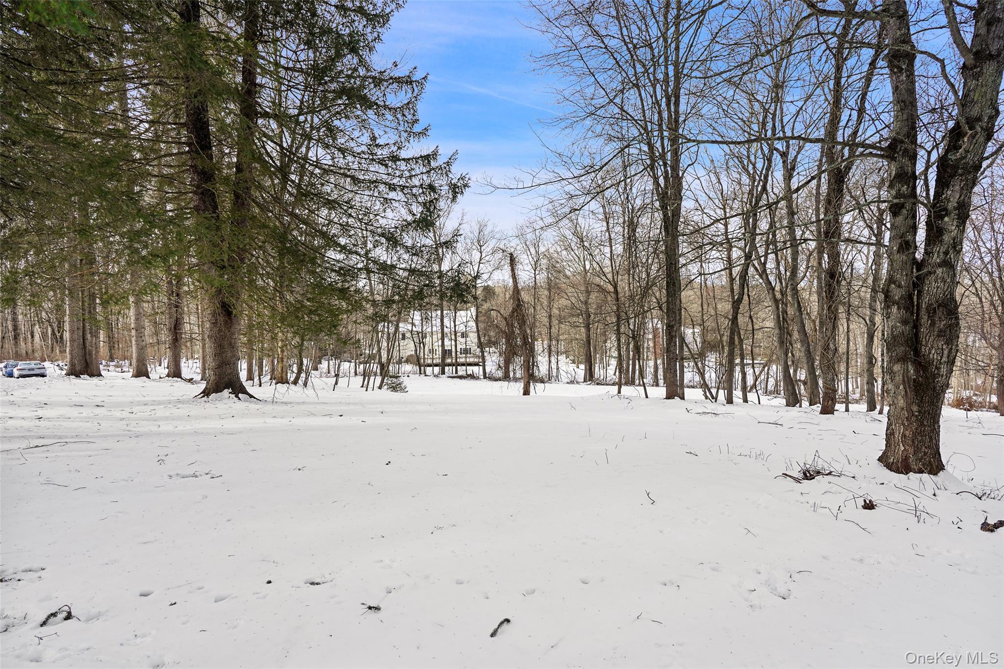 22 Raspberry Lane Carmel, NY 10512 - Photo 20 of 23 a view of road with trees