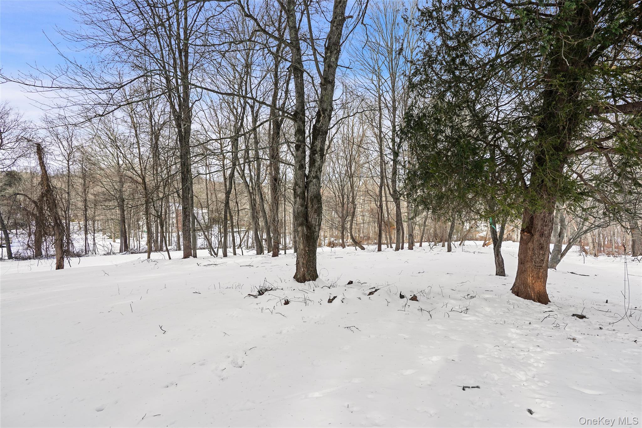 22 Raspberry Lane Carmel, NY 10512 - Photo 21 of 23 a street view covered with snow