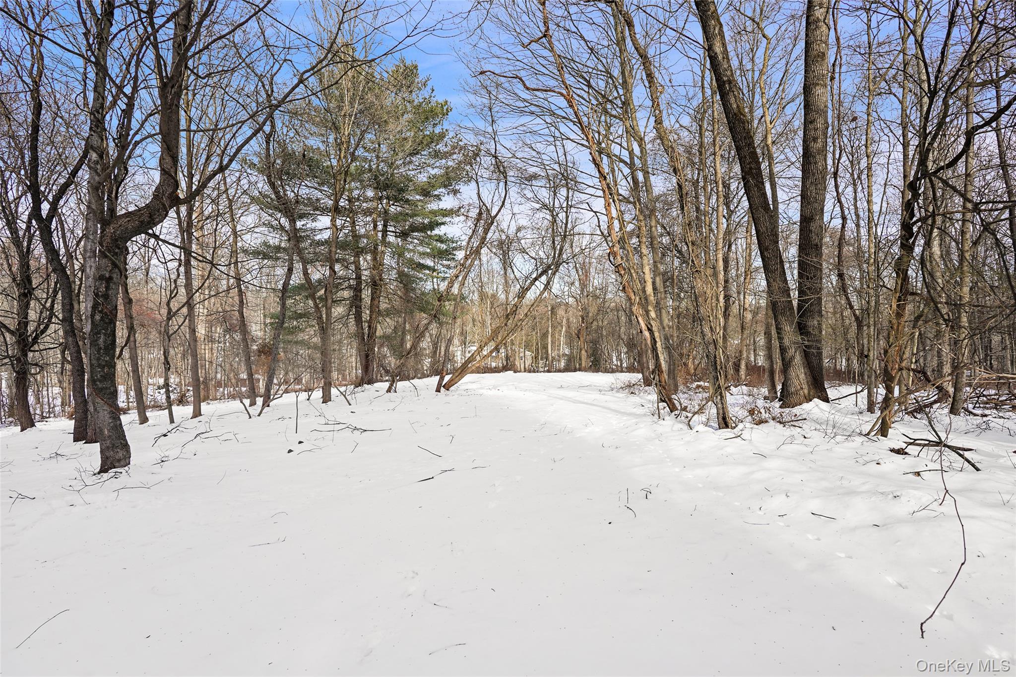22 Raspberry Lane Carmel, NY 10512 - Photo 22 of 23 a view of snow on the road