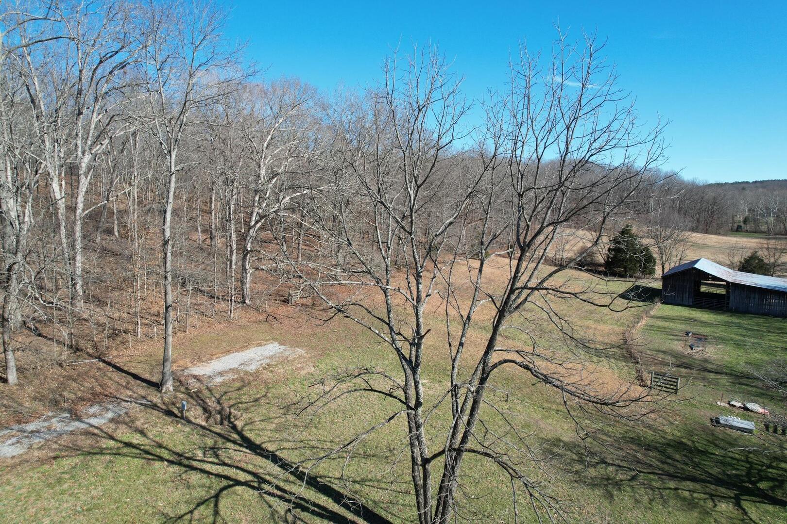 342 Bassett Road Elizabethtown, IL 62931 - Photo 43 of 62