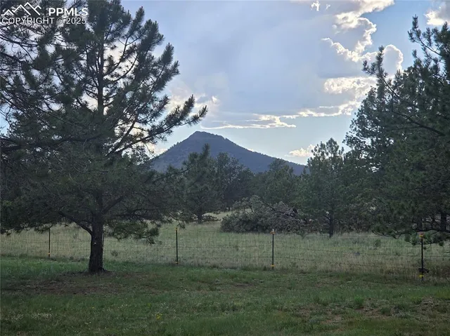 a view of an outdoor space and a yard