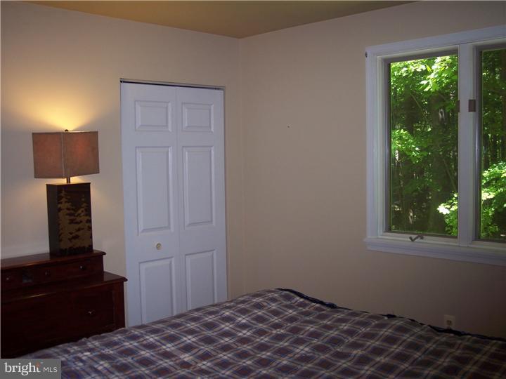 277 Hickon Road Quakertown, PA 18951 - Photo 19 of 25 Master Bedroom