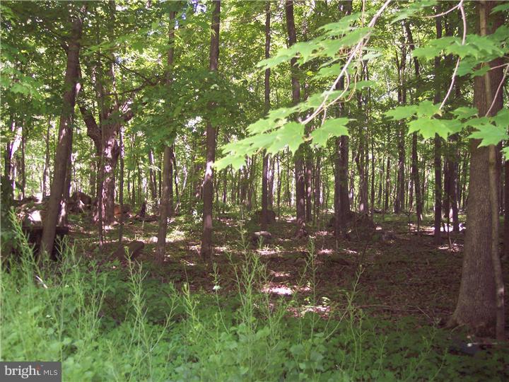 277 Hickon Road Quakertown, PA 18951 - Photo 20 of 25 View in Back