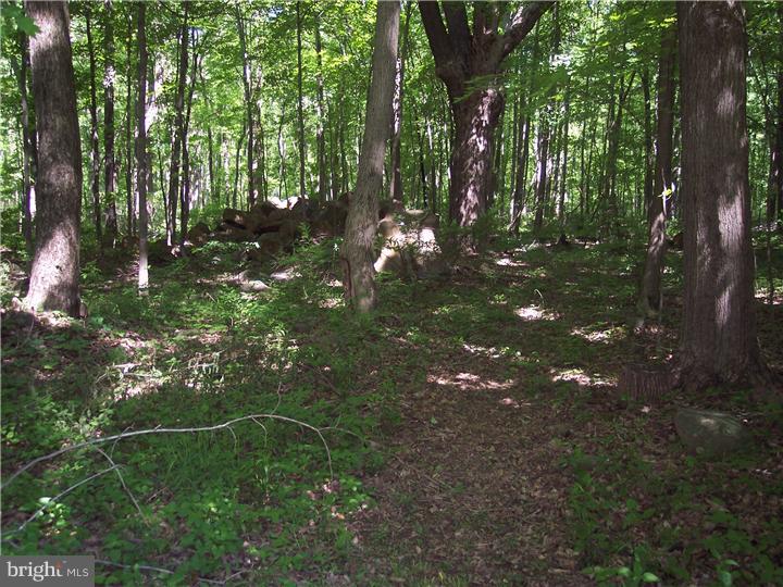 277 Hickon Road Quakertown, PA 18951 - Photo 22 of 25 View
