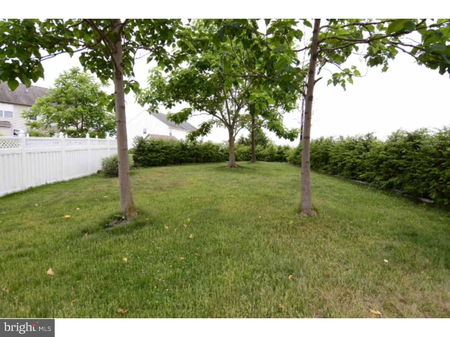 43 Michigan Drive Sinking Spring, PA 19608 - Photo 24 of 25