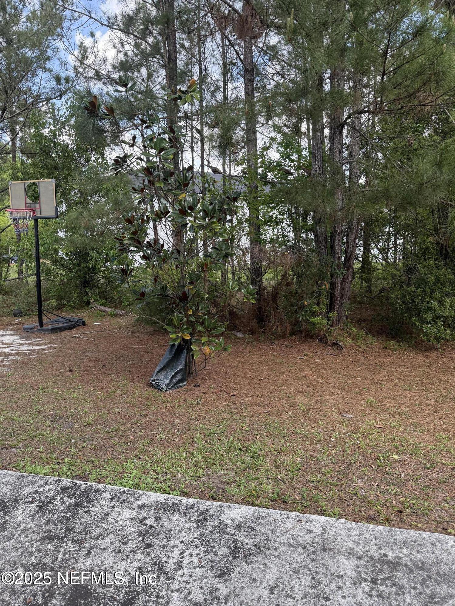 753 Bent Baum Road Jacksonville, FL 32205 - Photo 10 of 11 IMG_2654