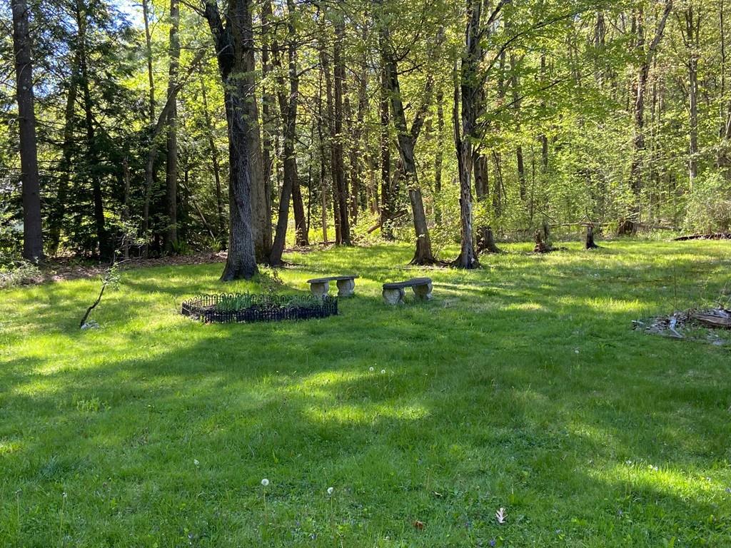 97 Hulst Road Amherst, MA 01002 - Photo 29 of 30 a view of a park with large trees