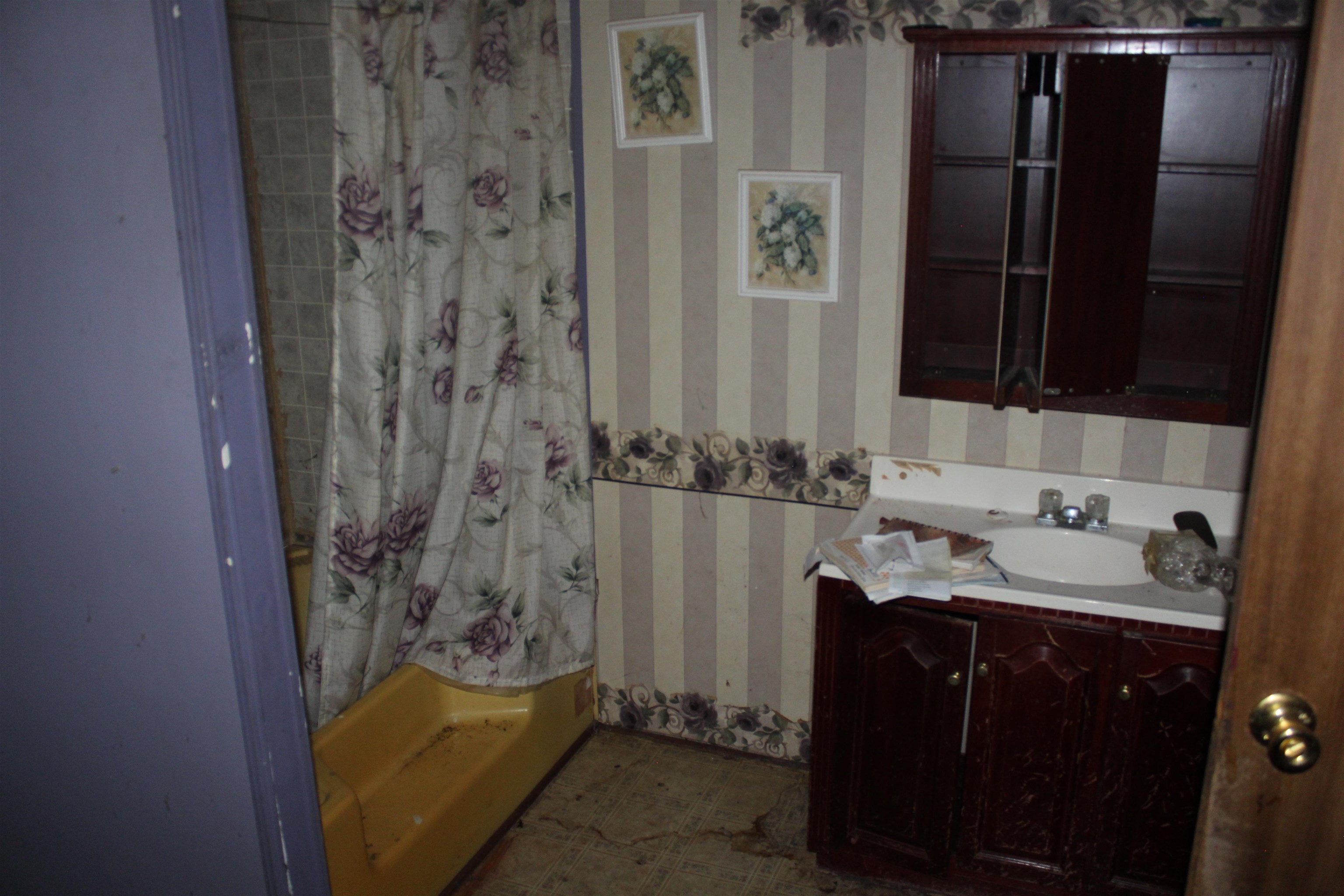 44 Martha Cove Ripley, TN 38063 - Photo 19 of 20 a bathroom with a shower and a sink