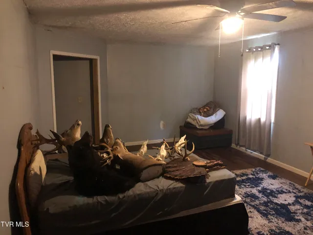 $275,000 | 3128 Highway 421, Mountain City, TN 37683