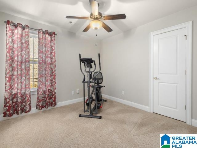 183 Blasted Rock Road Auburn, AL 36830 - Photo 19 of 24