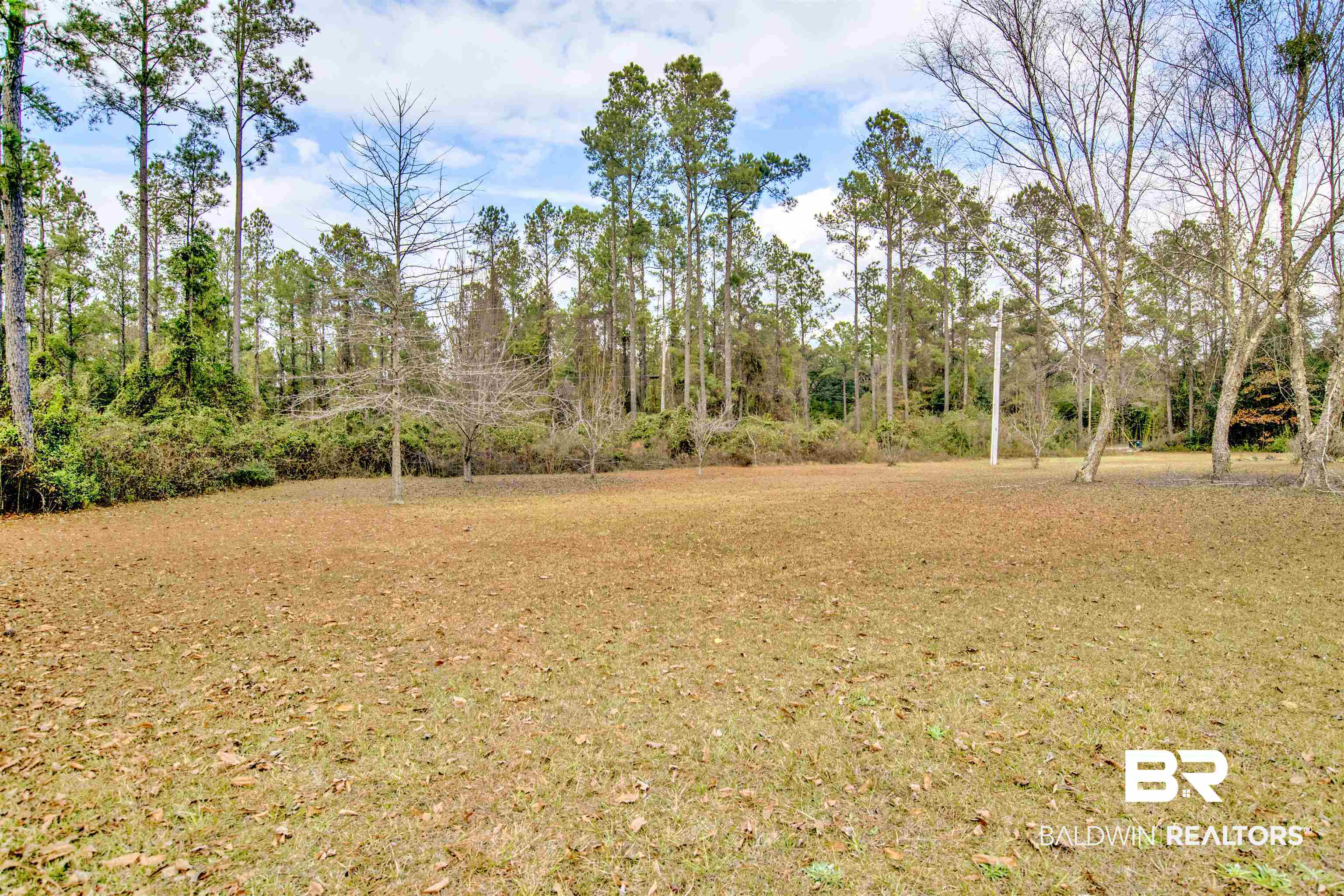 36434 Alexandria Trail Stapleton, AL 36578 - Photo 19 of 27 View of grassy yard