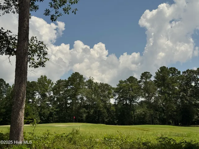 $740,000 | 663 Loblolly Drive, Vass, NC 28394